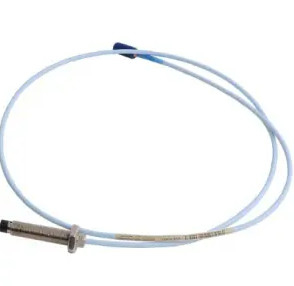 Bently Nevada 330171-00-12-05-02-00 3300 Sistem Transduser 5 mm Proximity Probe