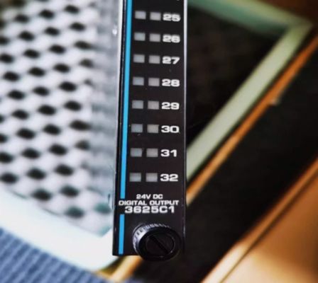 3625C1 Triconex Supervised Digital Output Module